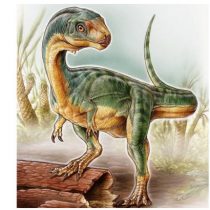 Resuelven el misterio del Chilesaurus, el 