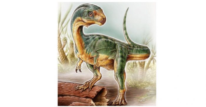 Resuelven el misterio del Chilesaurus, el «Frankenstein» de los dinosaurios que no coincidía con ninguna especie conocida Resuelven el misterio del Chilesaurus, el «Frankenstein» de los dinosaurios que no coincidía con ninguna especie conocida
