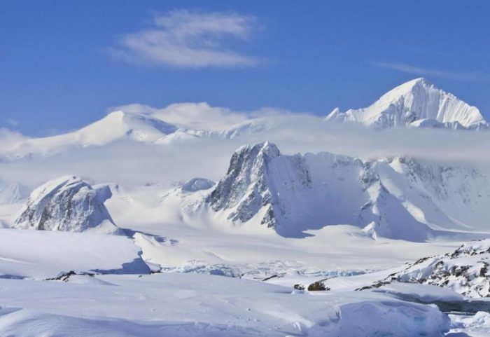 Presentan programa de conservación subantártica en una de los principales eventos de ecología Presentan programa de conservación subantártica en una de los principales eventos de ecología