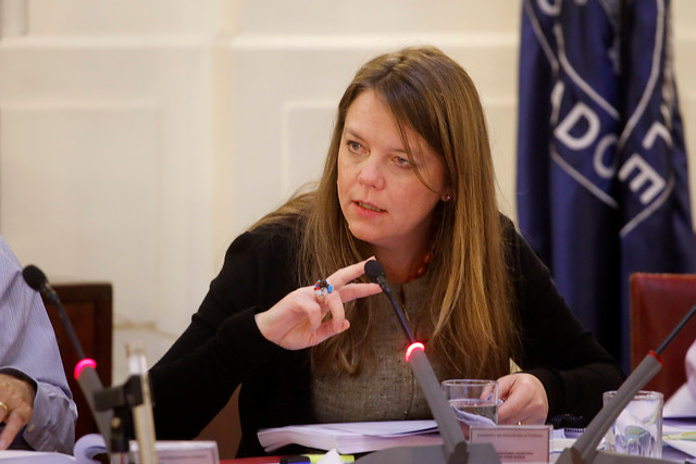 Vinculan a Ena von Baer con caso SQM Vinculan a Ena von Baer con caso SQM