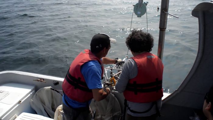 Científicos chilenos descubren que bacterias de zonas marinas anóxicas poseen la capacidad de producir oxígeno Científicos chilenos descubren que bacterias de zonas marinas anóxicas poseen la capacidad de producir oxígeno