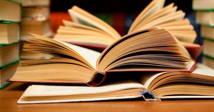 Política Nacional de la Lectura y el Libro muestra 53% de avance en sus primeros dos años Política Nacional de la Lectura y el Libro muestra 53% de avance en sus primeros dos años