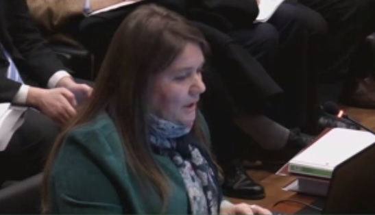Marcela Aranda expuso ante el TC: “El proyecto debería llamarse legalización del infanticidio” Marcela Aranda expuso ante el TC: “El proyecto debería llamarse legalización del infanticidio”