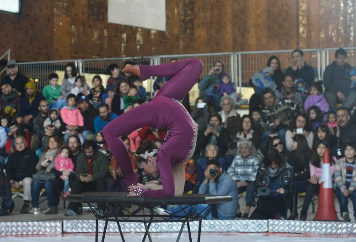 Día del Circo se celebrará con desfile por la Alameda de Santiago Día del Circo se celebrará con desfile por la Alameda de Santiago