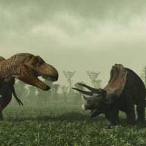Hallazgo de cráneo fosilizado permite medir la inteligencia de los dinosaurios