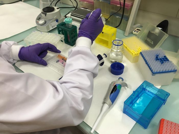Estudio identifica los genes clave para que la inmunoterapia sea eficaz Estudio identifica los genes clave para que la inmunoterapia sea eficaz