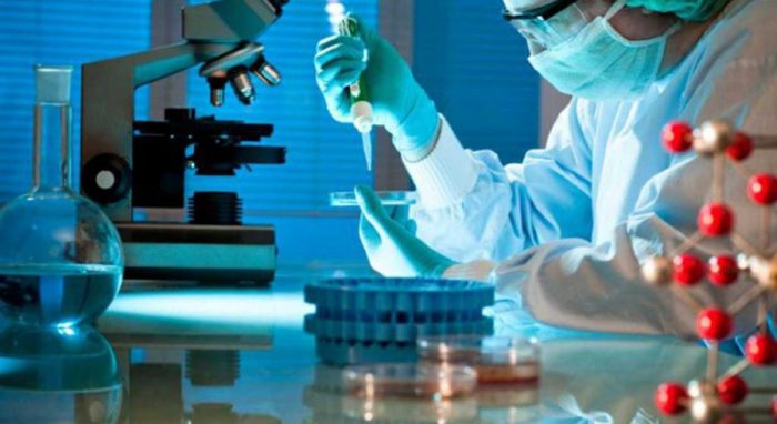 Inmunoterapia en cáncer: El eficaz tratamiento con más de 120 años de historia y ganador de un Nobel Inmunoterapia en cáncer: El eficaz tratamiento con más de 120 años de historia y ganador de un Nobel