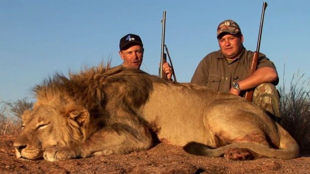 La polémica aplicación sobre cacería de animales por la que piden boicotear al club inglés Arsenal La polémica aplicación sobre cacería de animales por la que piden boicotear al club inglés Arsenal