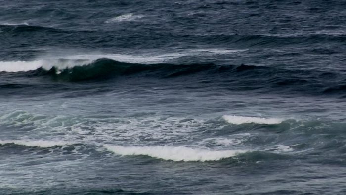 Investigadores chilenos instalan sistemas de monitoreo en los mares australes Investigadores chilenos instalan sistemas de monitoreo en los mares australes