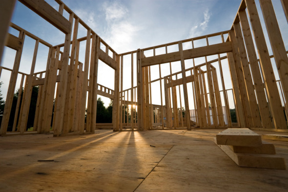 La madera, el material sustentable para construir y que podría ayudar en la crisis por altas emisiones de CO2 La madera, el material sustentable para construir y que podría ayudar en la crisis por altas emisiones de CO2
