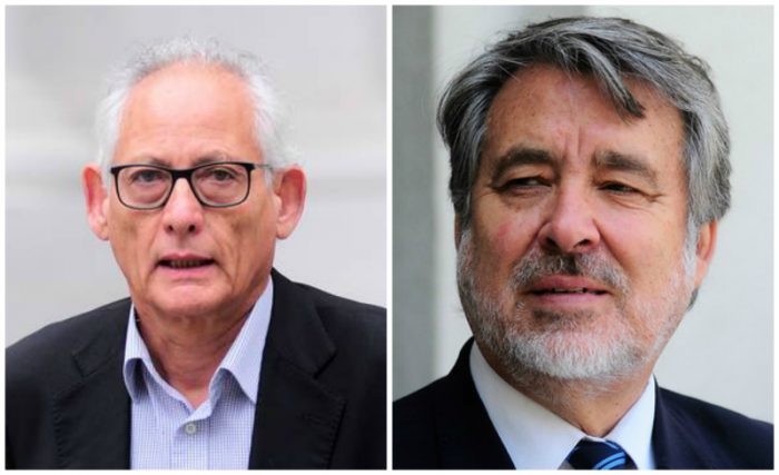 El PPD logra sacar a Karol Cariola de la vocería de comando de Guillier El PPD logra sacar a Karol Cariola de la vocería de comando de Guillier