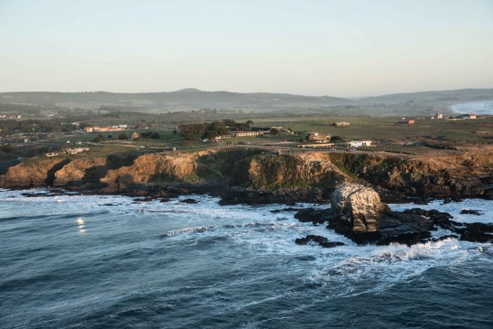 Lanzan microdocumental sobre la reforestación y recuperación de suelos en Pichilemu Lanzan microdocumental sobre la reforestación y recuperación de suelos en Pichilemu