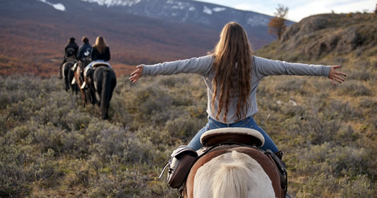 En el año del turismo sustentable se registra cifra histórica para el Sello S En el año del turismo sustentable se registra cifra histórica para el Sello S
