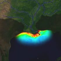 La “zona muerta” del golfo de México: la inmensa área del tamaño de El Salvador que preocupa a los científicos porque la vida marina es inviable
