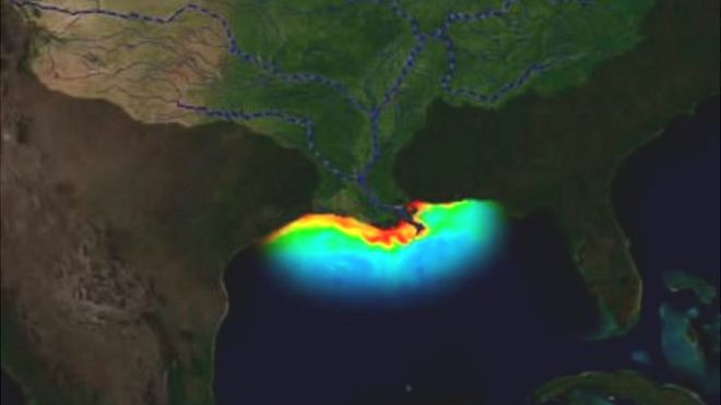 La “zona muerta” del golfo de México: la inmensa área del tamaño de El Salvador que preocupa a los científicos porque la vida marina es inviable La “zona muerta” del golfo de México: la inmensa área del tamaño de El Salvador que preocupa a los científicos porque la vida marina es inviable