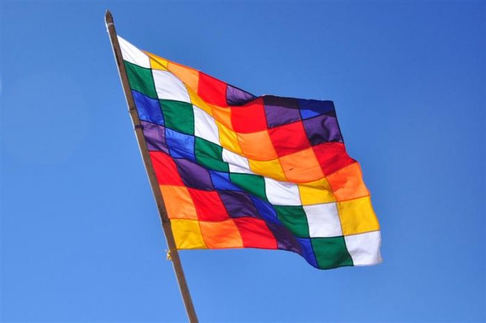 COVID en territorios indígenas: cuando el conflicto histórico es también pandémico COVID en territorios indígenas: cuando el conflicto histórico es también pandémico