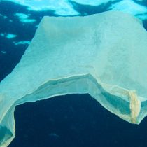 En más de 100 comunas costeras se prohibirá la entrega de bolsas plásticas, de aprobarse ley propuesta por Bachelet