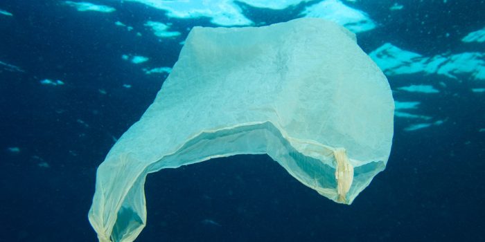 En más de 100 comunas costeras se prohibirá la entrega de bolsas plásticas, de aprobarse ley propuesta por Bachelet