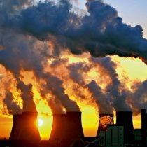 La banalización del medioambiente