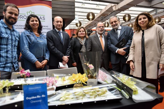 Crédito Corfo Mipyme, el nuevo programa con más de $10 mil millones para financiar a pequeñas empresas Crédito Corfo Mipyme, el nuevo programa con más de $10 mil millones para financiar a pequeñas empresas