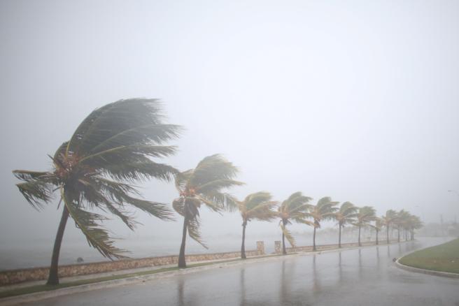 Harvey, Irma… y el futuro. O el último peligro de la crisis ecológica: La desoxigenación Harvey, Irma… y el futuro. O el último peligro de la crisis ecológica: La desoxigenación