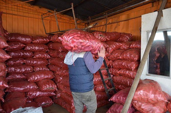 Ley del saco: a partir del domingo trabajadores no podrán cargar más de 25 kilos Ley del saco: a partir del domingo trabajadores no podrán cargar más de 25 kilos