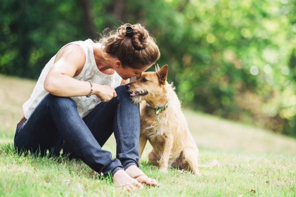 Parasitología en animales: Conoce el rol del médico veterinario y cómo evitar los riesgos para los humanos Parasitología en animales: Conoce el rol del médico veterinario y cómo evitar los riesgos para los humanos