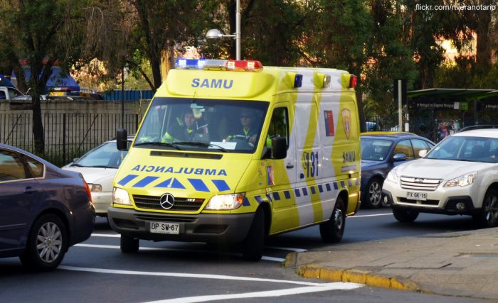 Trabajadora del Parque Safari falleció luego de ser atacada por un tigre Trabajadora del Parque Safari falleció luego de ser atacada por un tigre