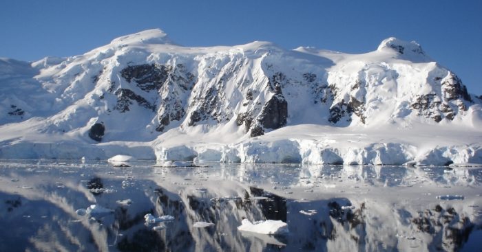 Científicos de 19 nacionalidades darán vida al IX Congreso Latinoamericano de Ciencia Antártica en Punta Arenas