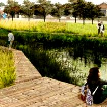 Aprueban plan de infraestructura verde para la conservación de humedales en Llanquihue