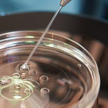 Preservación de fertilidad: una opción para embarazarse después del cáncer de mama