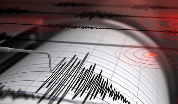 Temblor de 4.9 en la escala Richter se percibió en la zona centro norte