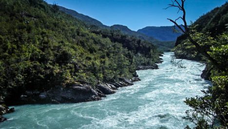 La naturaleza es primero