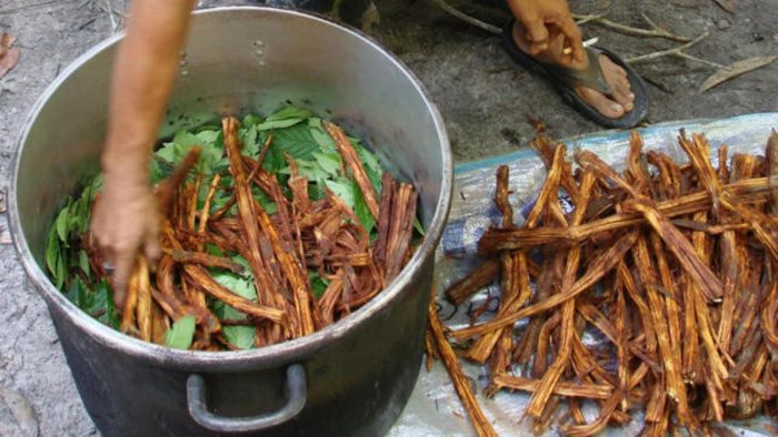 ¿Pueden los efectos espirituales de la ayahuasca ser explicados a través de la ciencia?