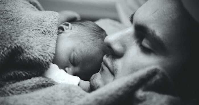Científicos descubren las bases genéticas del cuidado parental Científicos descubren las bases genéticas del cuidado parental