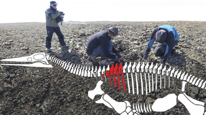 Descubren en la Antártica los restos de un lagarto gigante de hace 150 millones de años Descubren en la Antártica los restos de un lagarto gigante de hace 150 millones de años