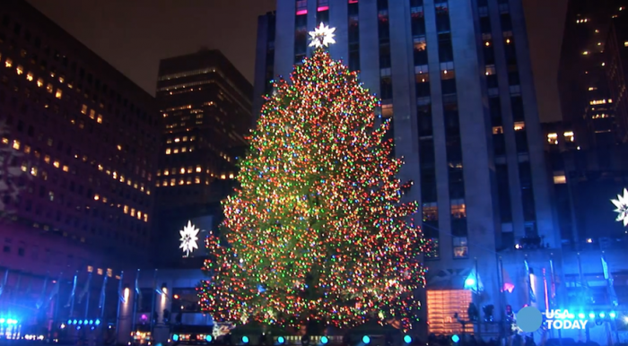 El árbol de pascua tradicional, otra industria en peligro de extinción por el «efecto millennial» El árbol de pascua tradicional, otra industria en peligro de extinción por el