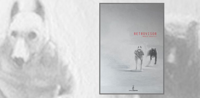 “Retrovisor” de Mónica Drouilly: Una escritura en fragmentos “Retrovisor” de Mónica Drouilly: Una escritura en fragmentos