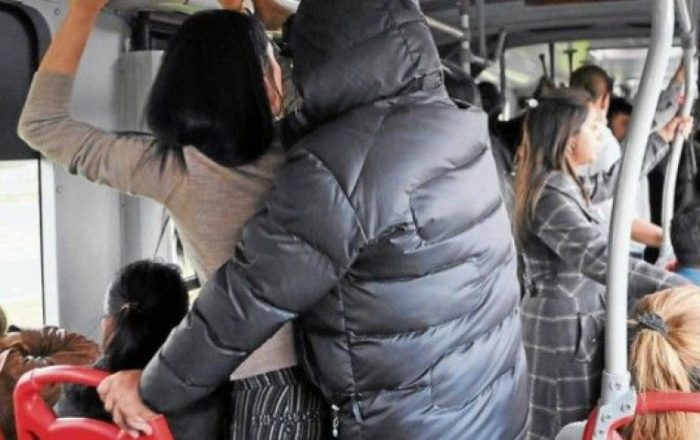 Ministra de la mujer: «Hay que dejar de naturalizar el acoso callejero» Ministra de la mujer: «Hay que dejar de naturalizar el acoso callejero»