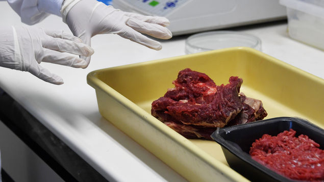 Analizan la evolución del gen que hace que la carne roja sea cancerígena Analizan la evolución del gen que hace que la carne roja sea cancerígena