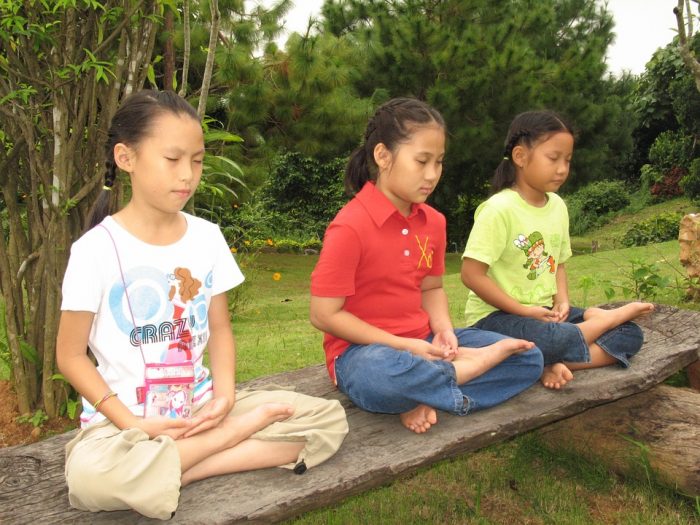 Yoga para niños en Museo Regional de la Araucanía Yoga para niños en Museo Regional de la Araucanía
