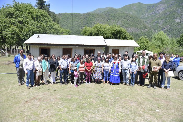 Comienza en Alto Biobío programa para diversificación de productos a partir de la avellana Comienza en Alto Biobío programa para diversificación de productos a partir de la avellana