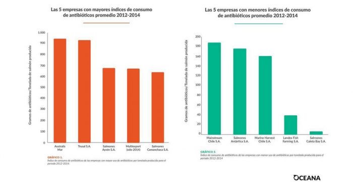 La primera radiografía al uso de antibióticos que deja al desnudo a la industria salmonera chilena La primera radiografía al uso de antibióticos que deja al desnudo a la industria salmonera chilena
