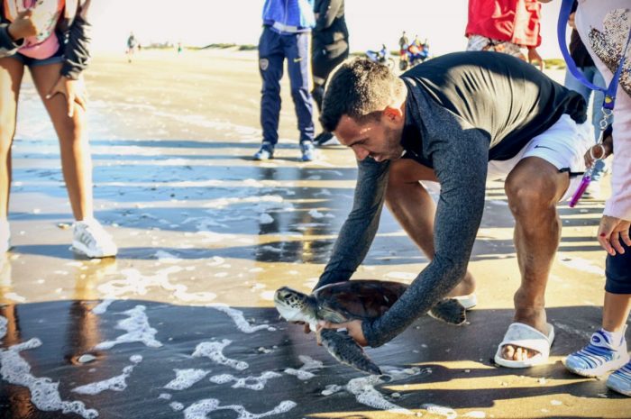 Carlos Tevez reinsertó en el mar argentino una tortuga marina rescatada Carlos Tevez reinsertó en el mar argentino una tortuga marina rescatada