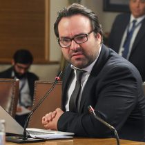 Branislav Marelic interpone recurso de protección tras ser removido como director del INDH