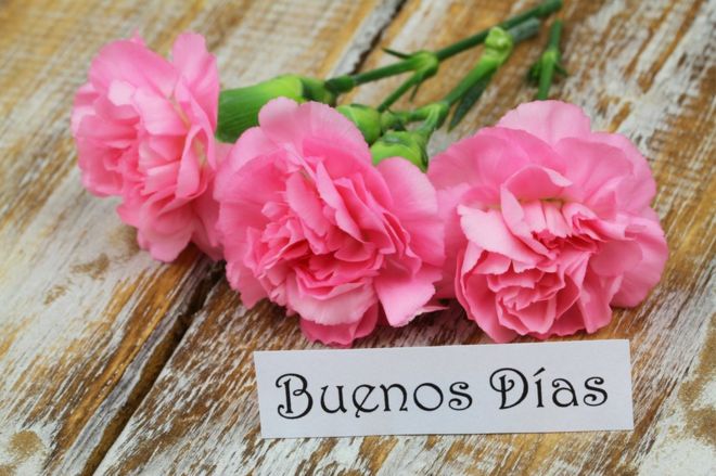 Por qué en español decimos buenoS días o buenas nocheS en plural (y no en singular como las demás lenguas) Por qué en español decimos buenoS días o buenas nocheS en plural (y no en singular como las demás lenguas)