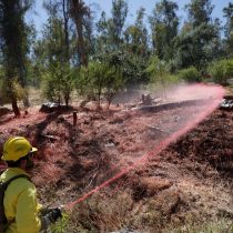 Alerta en ocho regiones por incendios forestales