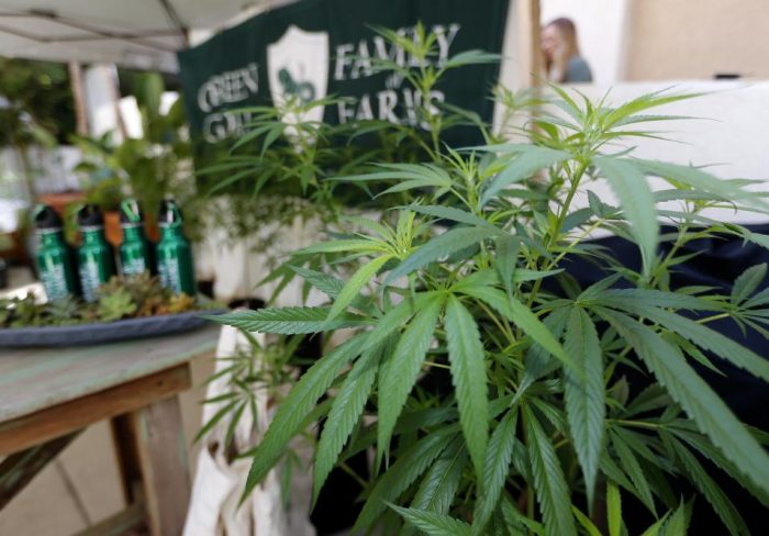 L.A. joing: California da vía libre al negocio de la marihuana recreativa L.A. joing: California da vía libre al negocio de la marihuana recreativa