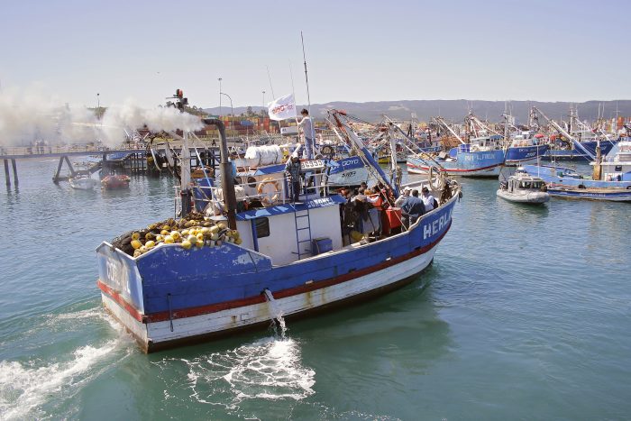 WWF Chile manifestó preocupación por retraso del Proyecto de Ley para la Modernización de Sernapesca WWF Chile manifestó preocupación por retraso del Proyecto de Ley para la Modernización de Sernapesca