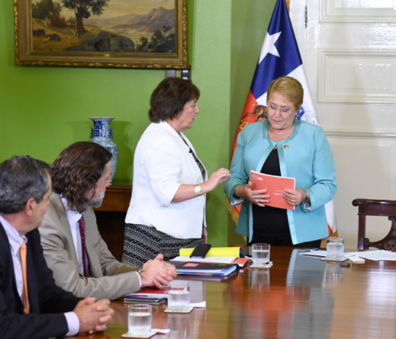 Consejo Asesor entregó a Bachelet la Estrategia Nacional de Formación Técnico-Profesional 2018 – 2030 Consejo Asesor entregó a Bachelet la Estrategia Nacional de Formación Técnico-Profesional 2018 – 2030